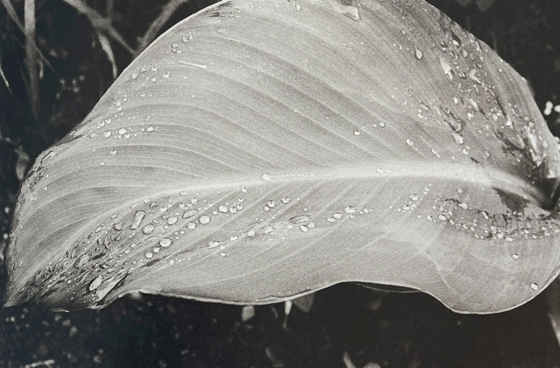 1980s Remnants by Daido Moriyama - Image 5