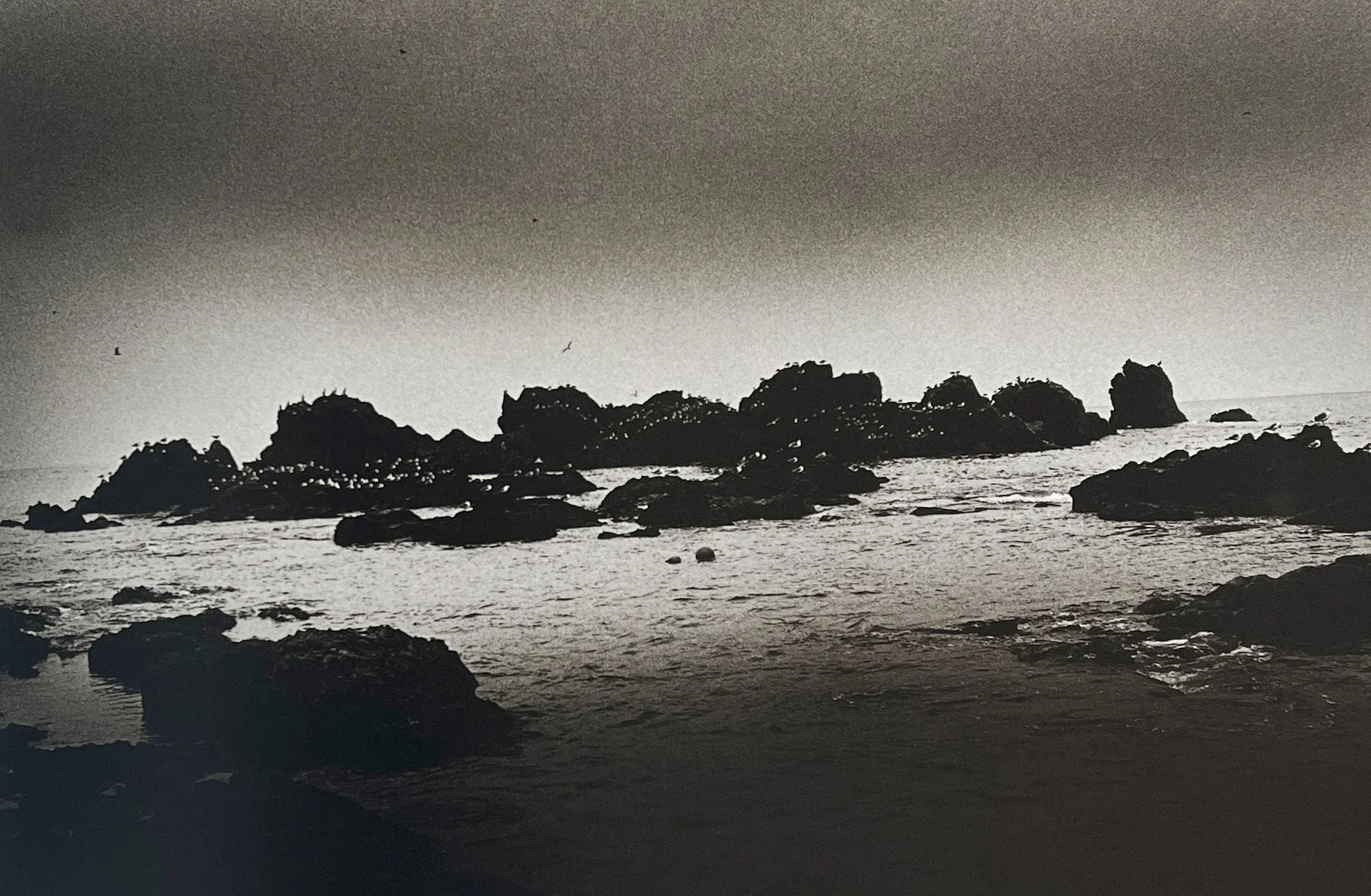 1980s Remnants by Daido Moriyama - Image 6