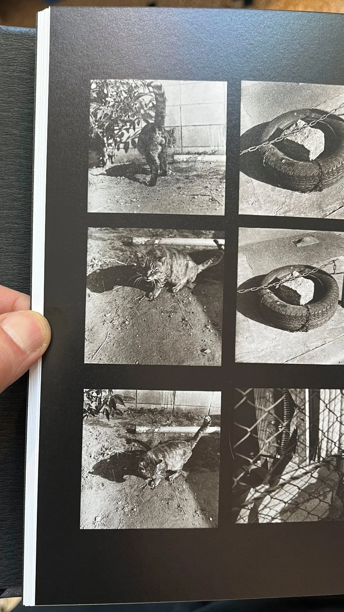 1980s Remnants by Daido Moriyama - Image 9