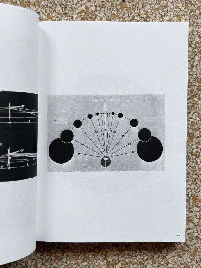 3000 days of archives related to the optics and glasses frame industry - Image 3