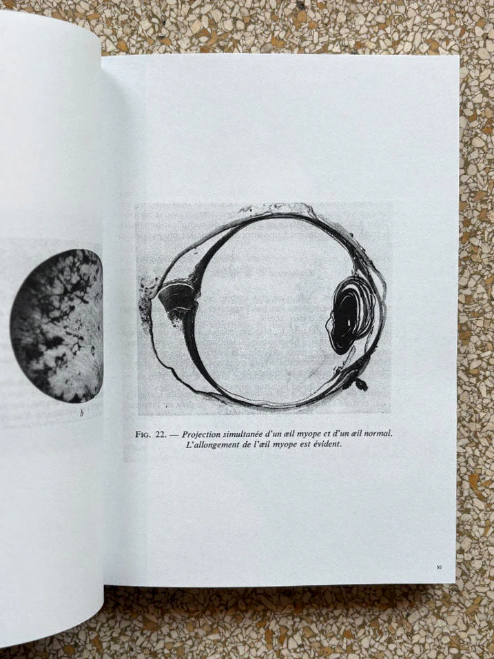 3000 days of archives related to the optics and glasses frame industry - Image 5