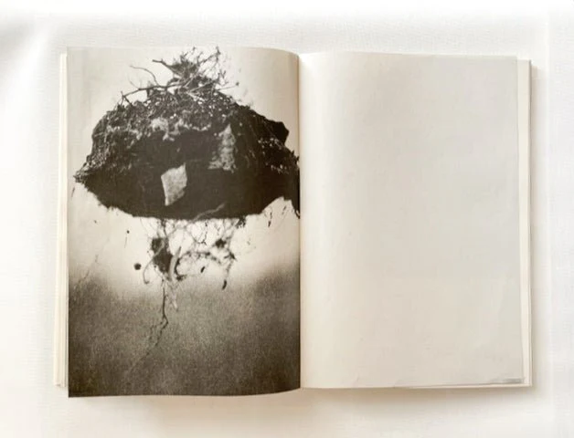 A Geography of Abandonment by Raymond Meeks - Image 3