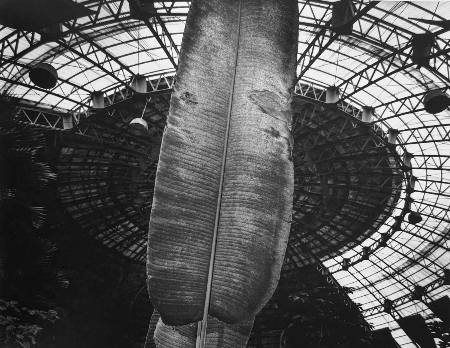 A Long Interview with Kozo Miyoshi by Kozo Miyoshi - Image 10