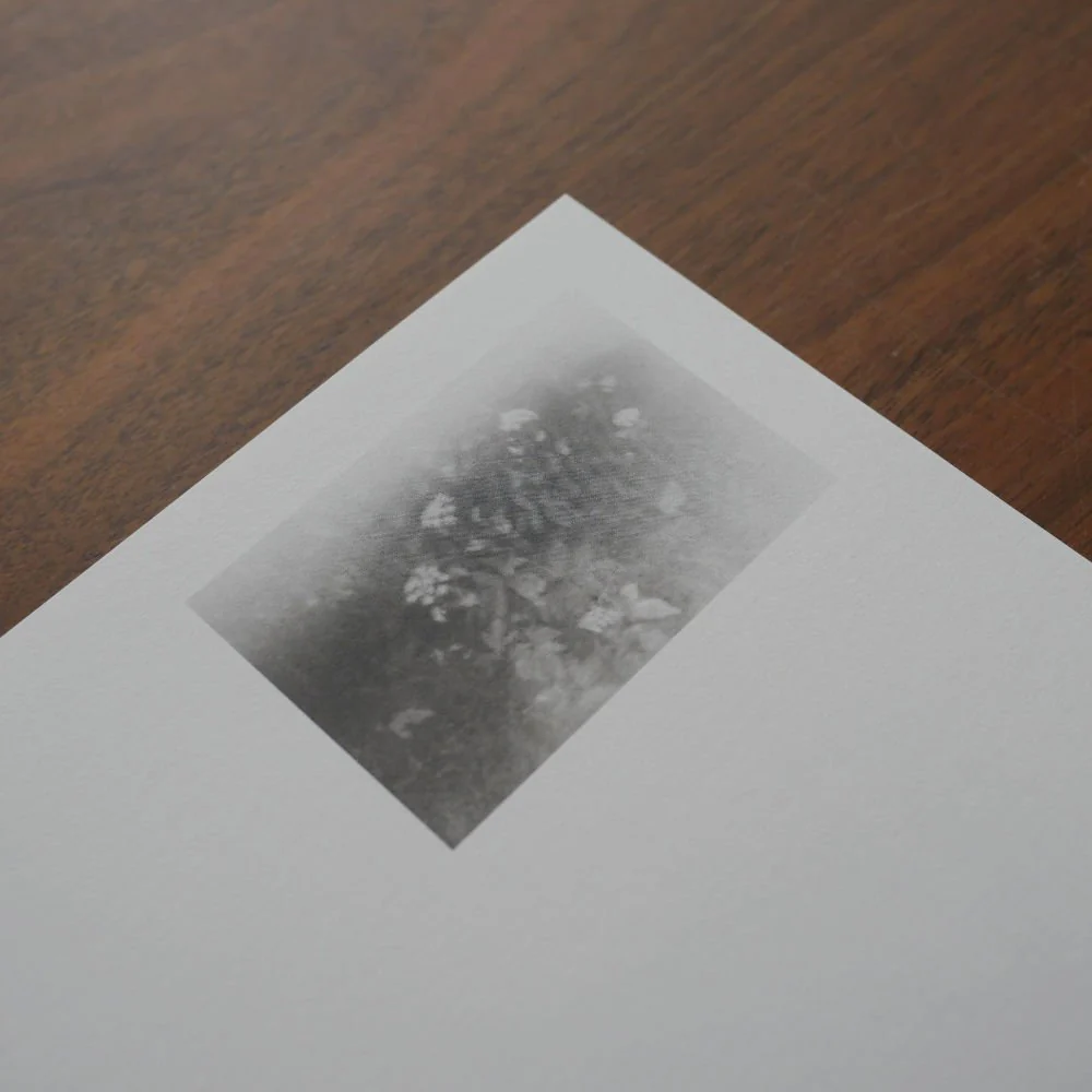 A Summer Of A Thousand Years by Martin Bogren - Image 5