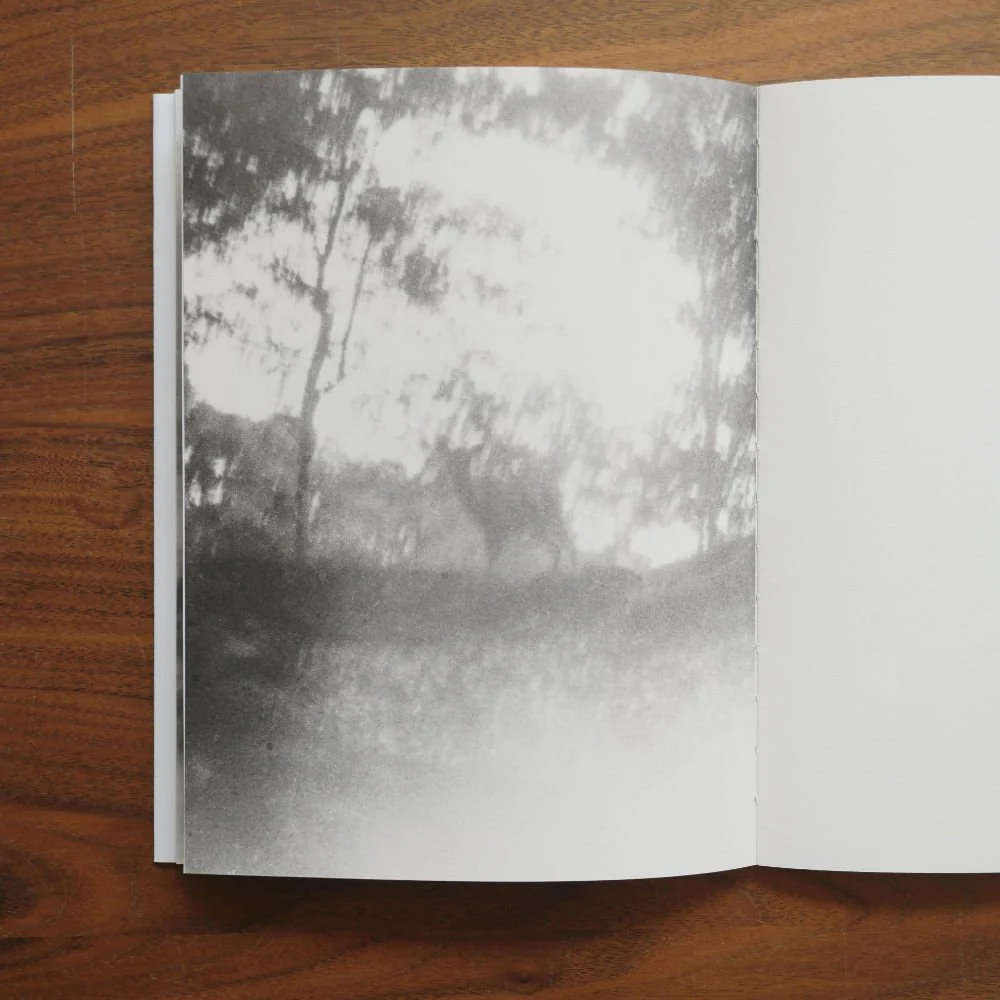 A Summer Of A Thousand Years by Martin Bogren - Image 9
