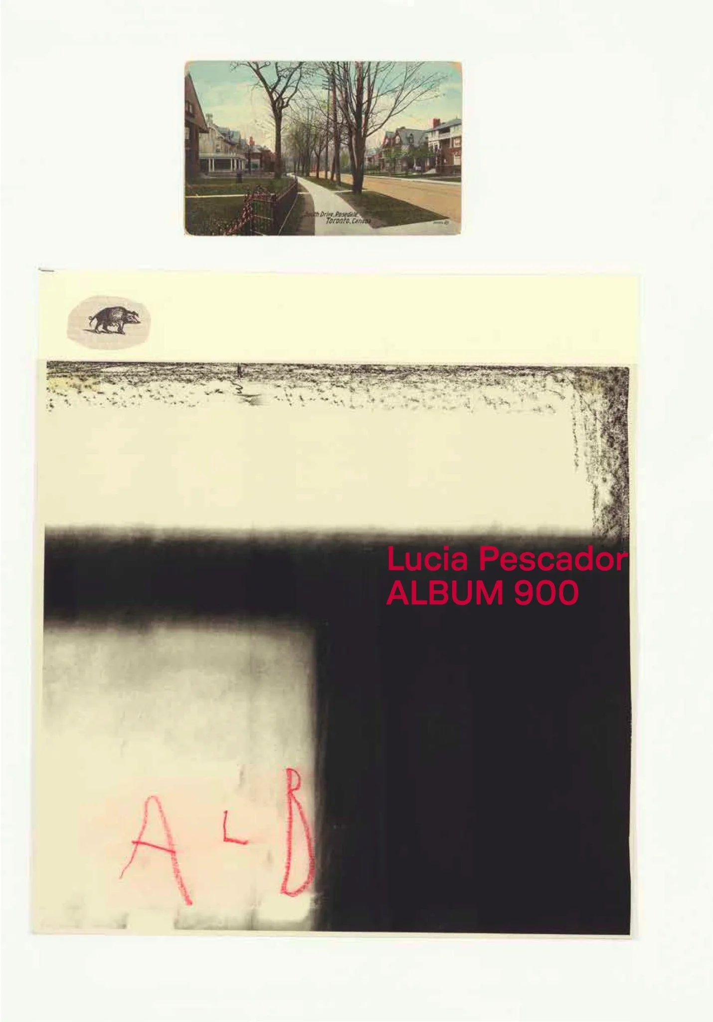 Album 900 by Lucia Pescador