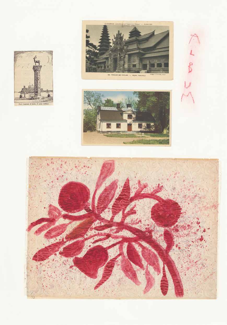 Album 900 by Lucia Pescador - Image 10