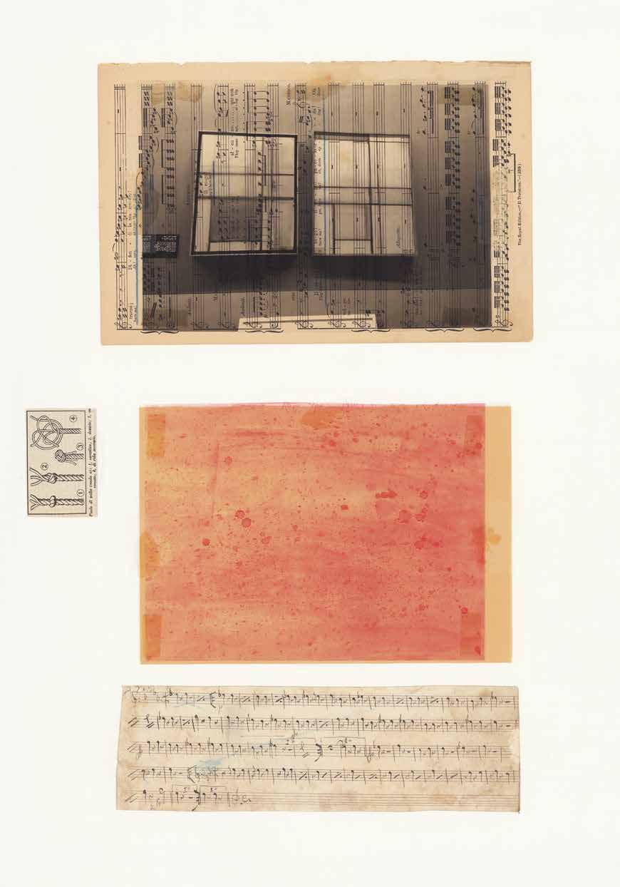 Album 900 by Lucia Pescador - Image 6