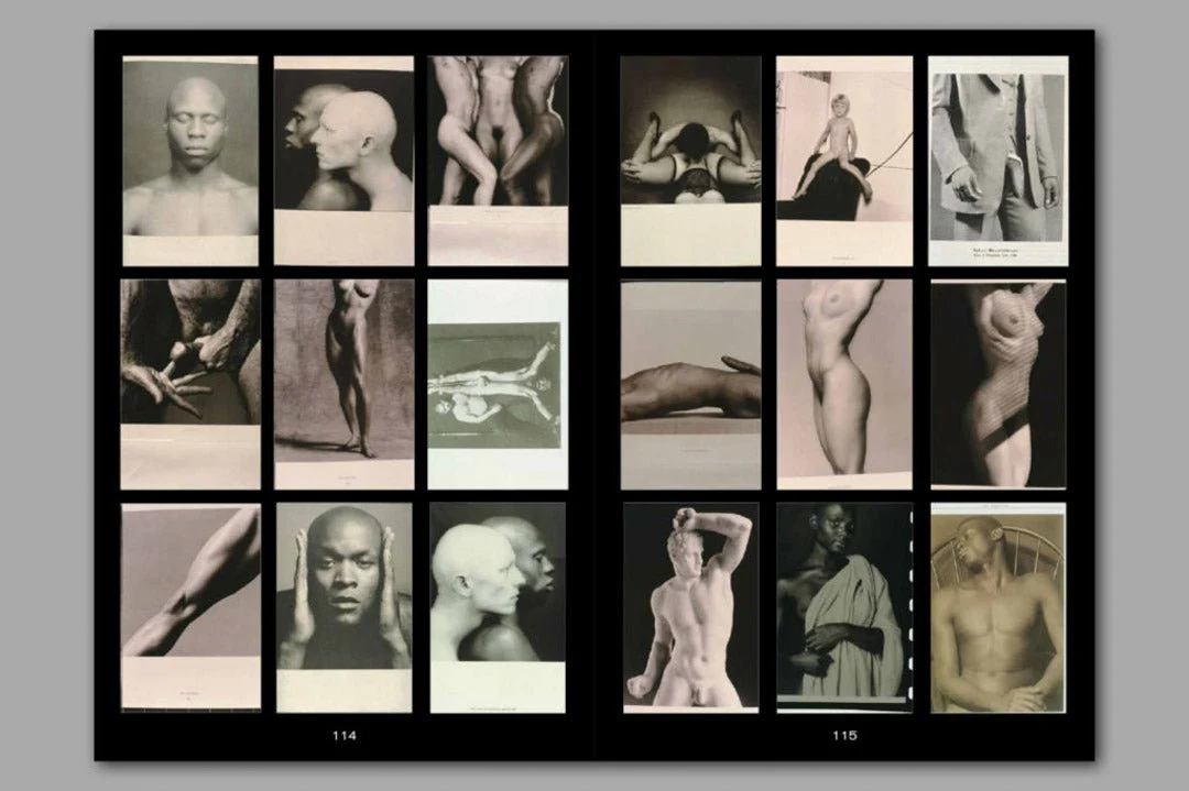 An educational archive of 2863 slides by Frido Troost - Image 5