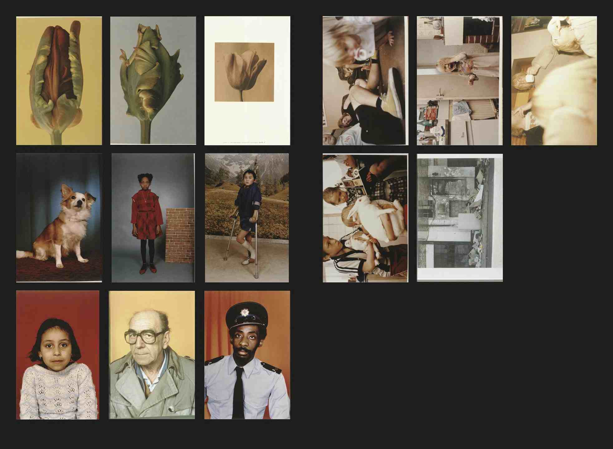 An educational archive of 2863 slides by Frido Troost - Image 9
