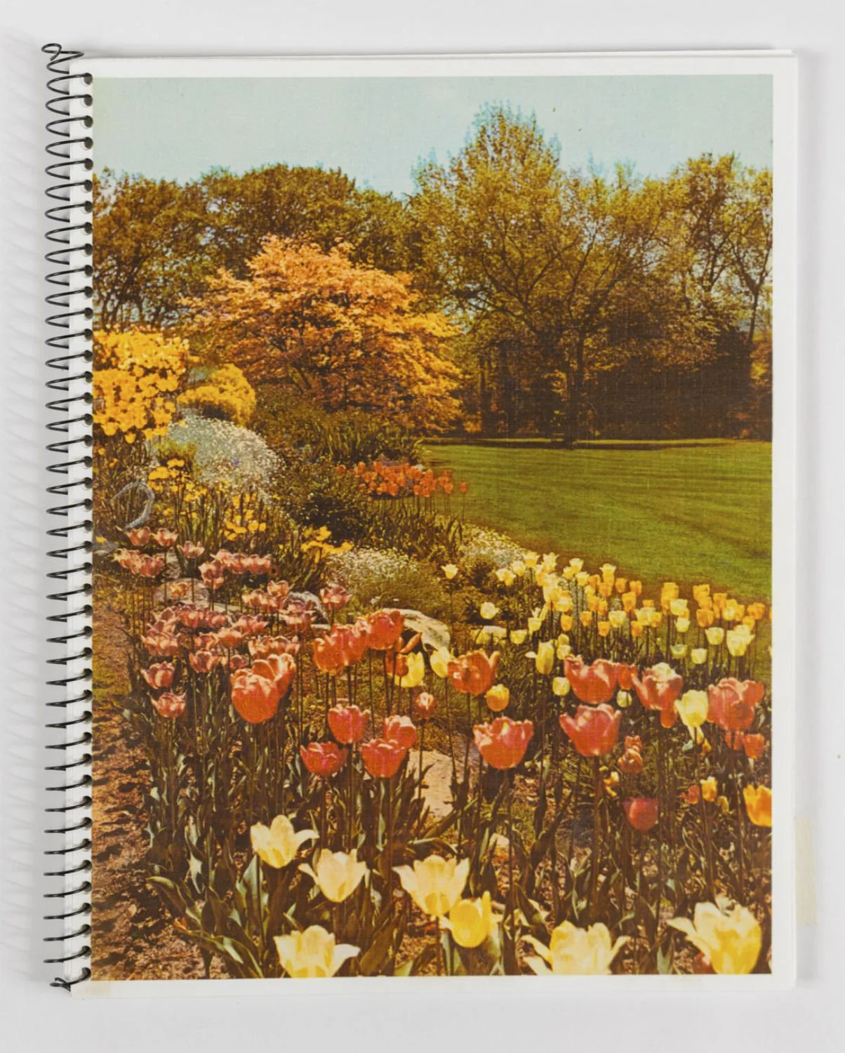 an index of botanical desires: notes on touch by Madeline Cass