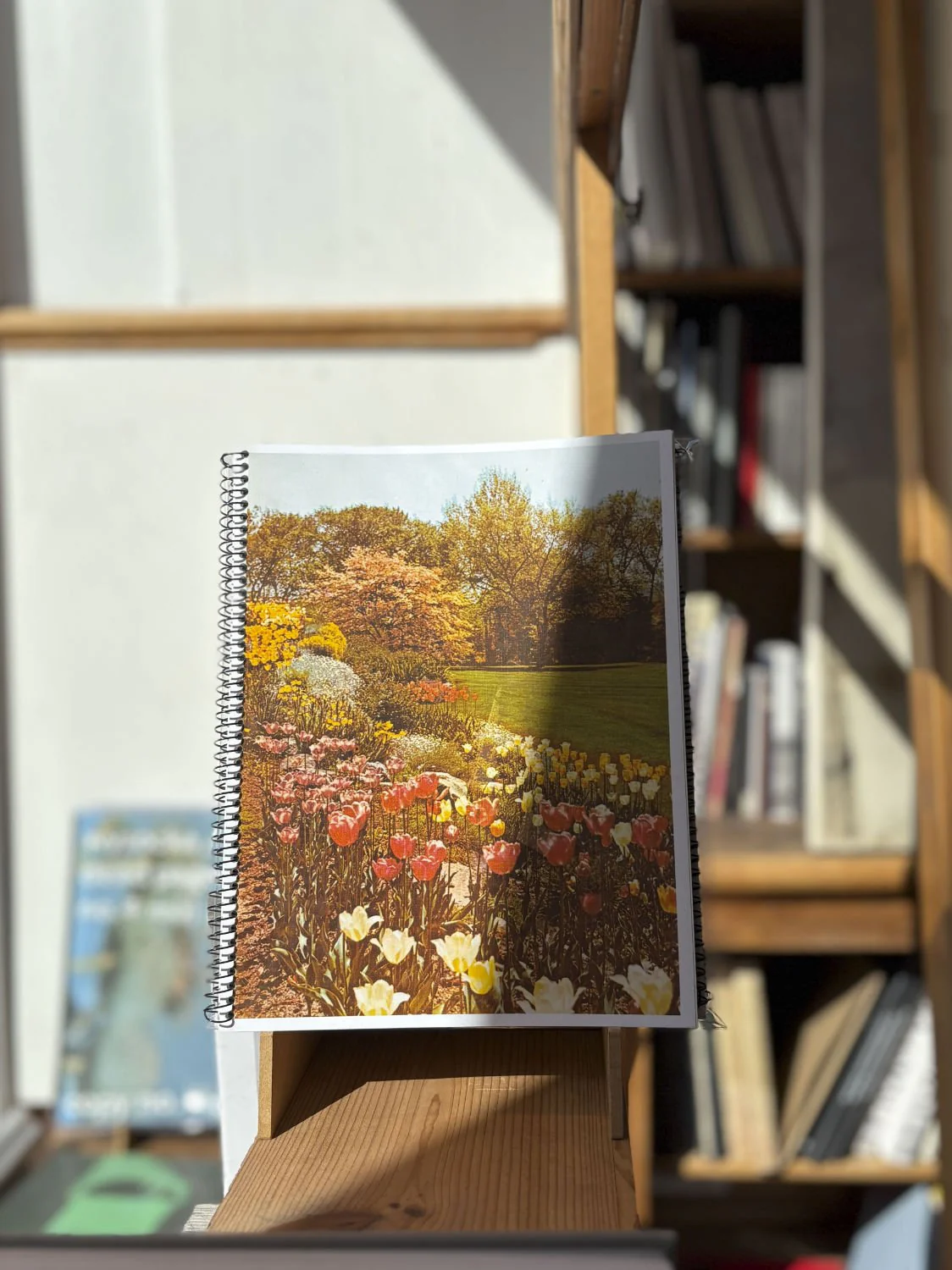an index of botanical desires: notes on touch by Madeline Cass - Image 2