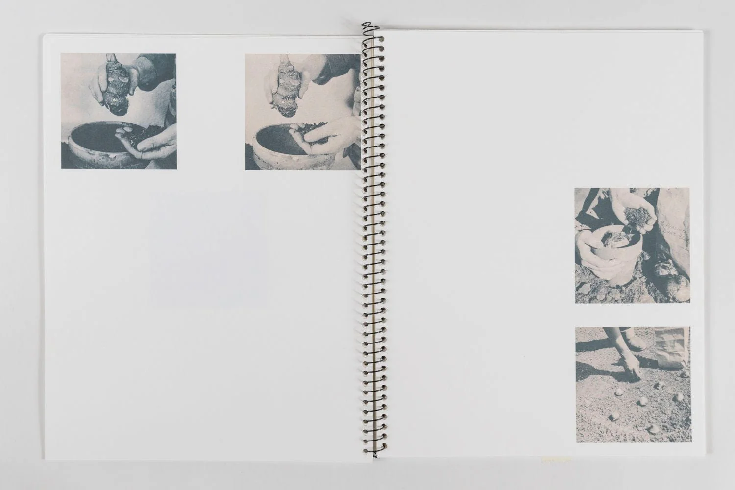 an index of botanical desires: notes on touch by Madeline Cass - Image 6
