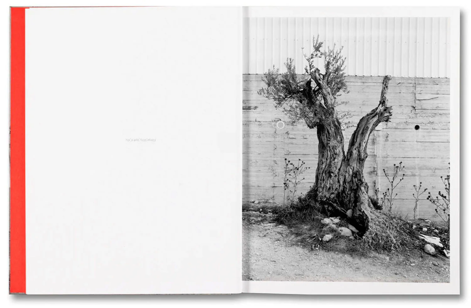 Anchor in the Landscape by Adam Broomberg & Rafael Gonzalez - Image 3