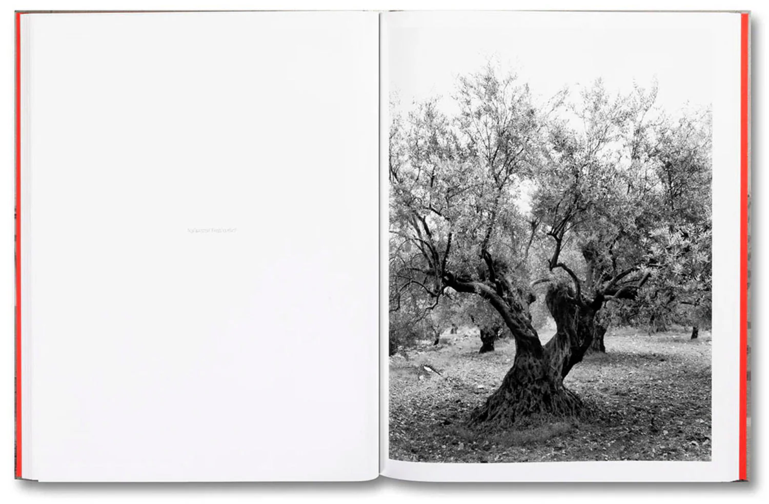 Anchor in the Landscape by Adam Broomberg & Rafael Gonzalez - Image 4