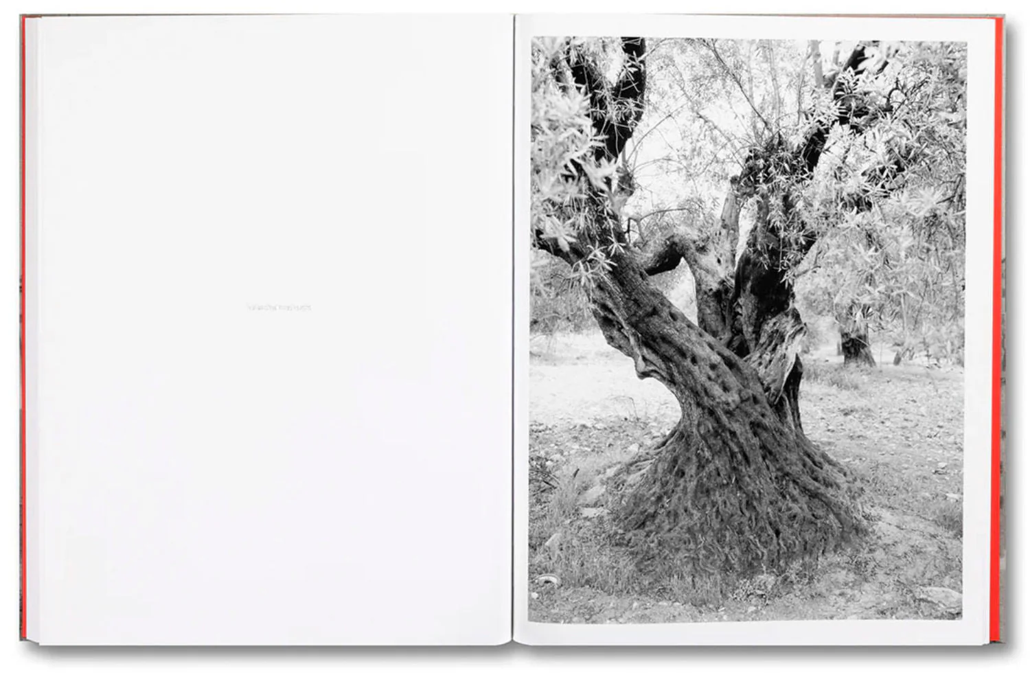 Anchor in the Landscape by Adam Broomberg & Rafael Gonzalez - Image 5