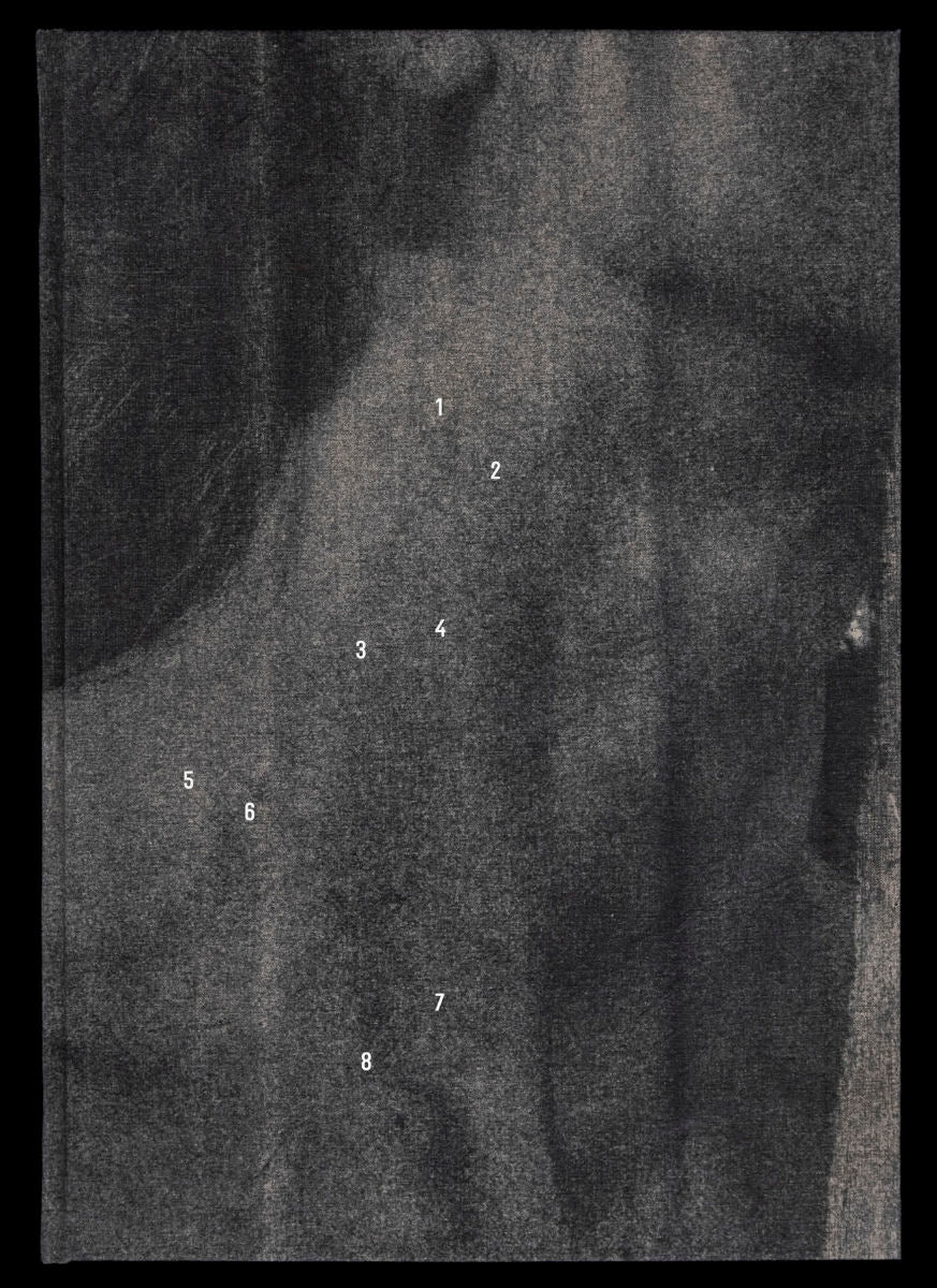 And then there was the night by Wysocka / Pogo