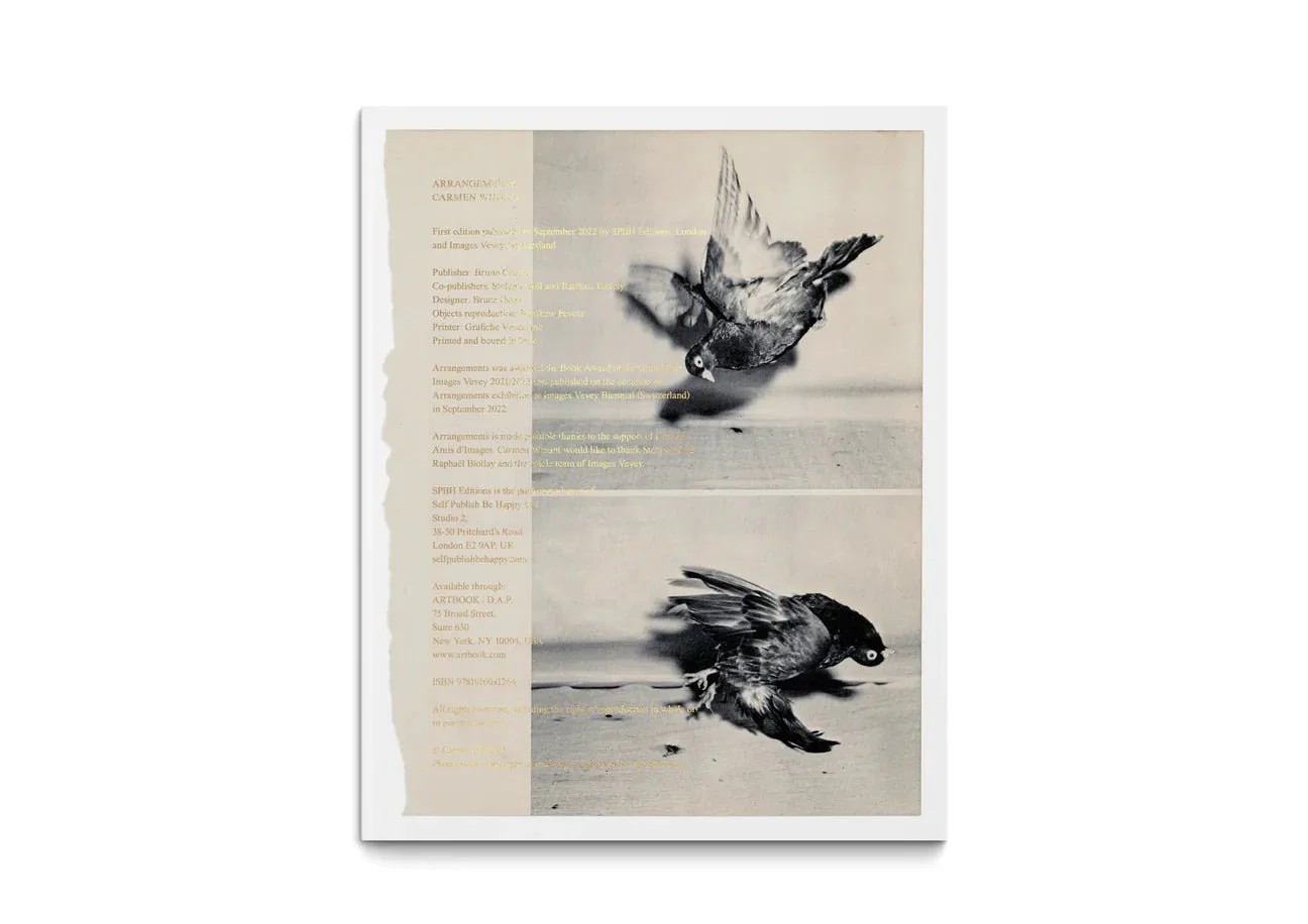 Arrangements by Carmen Winant