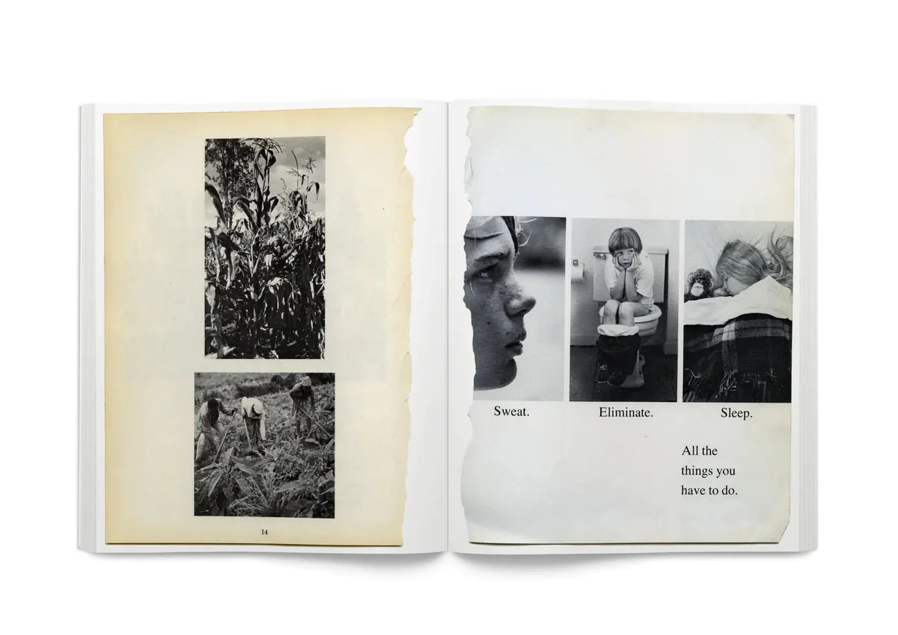 Arrangements by Carmen Winant - Image 3
