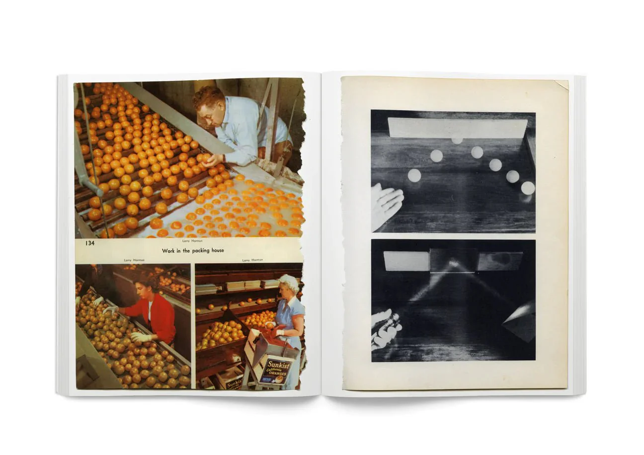 Arrangements by Carmen Winant - Image 5