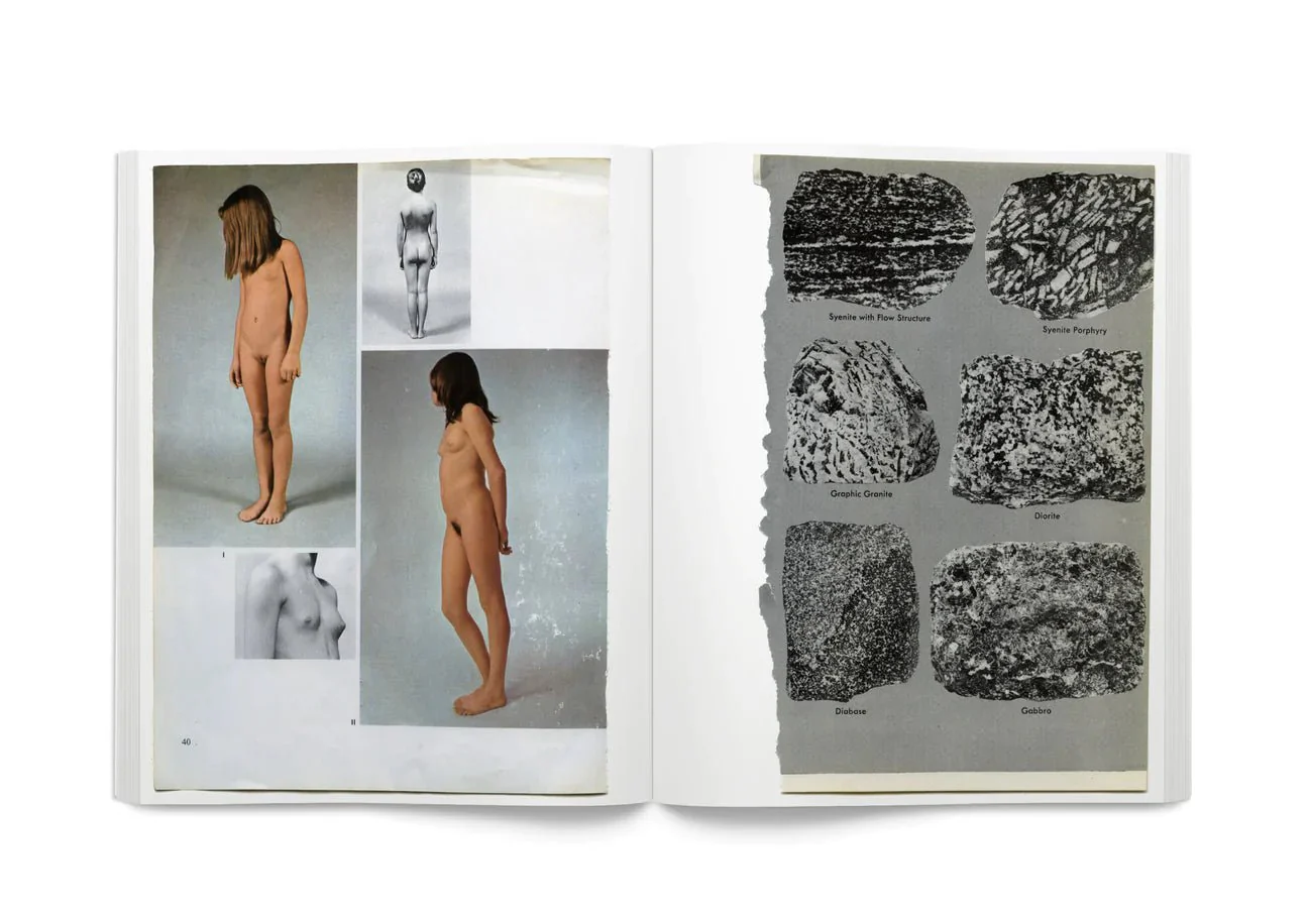 Arrangements by Carmen Winant - Image 6