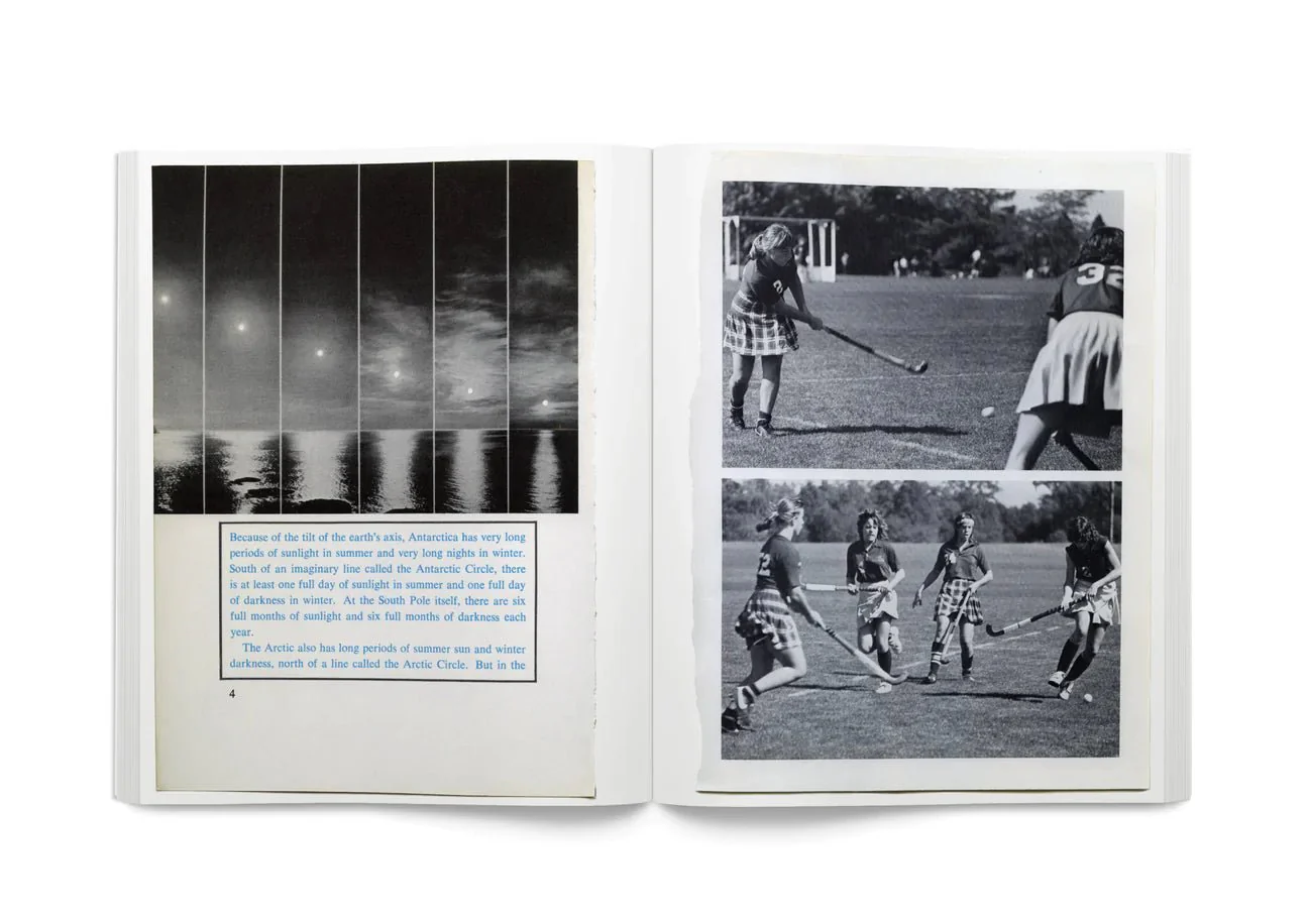 Arrangements by Carmen Winant - Image 7