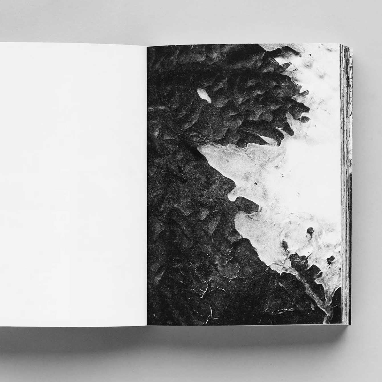 Aster by Grégoire Eloy - Image 4