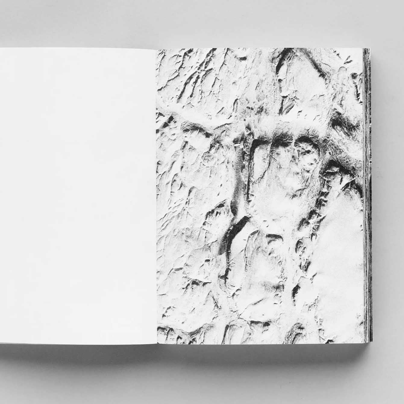 Aster by Grégoire Eloy - Image 6