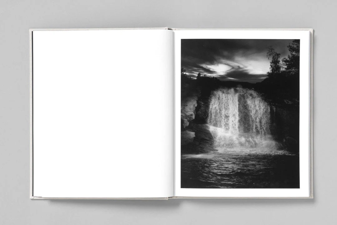 At night gardens grow by Paul Guilmoth - Image 8
