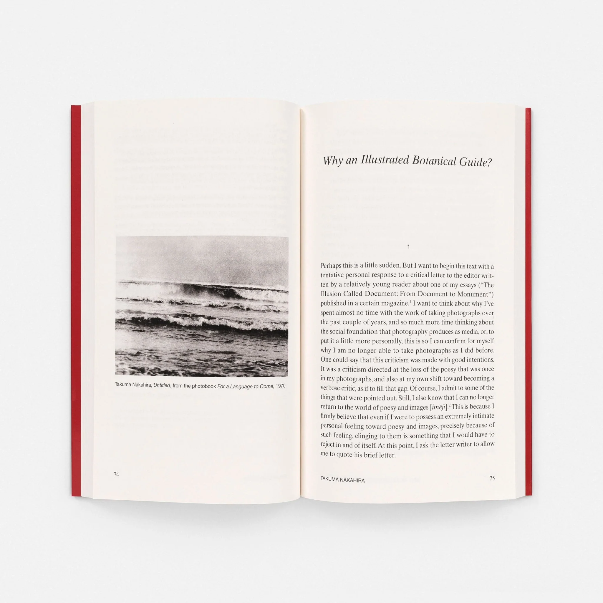 At the Limits of the Gaze by Takuma Nakahira - Image 4