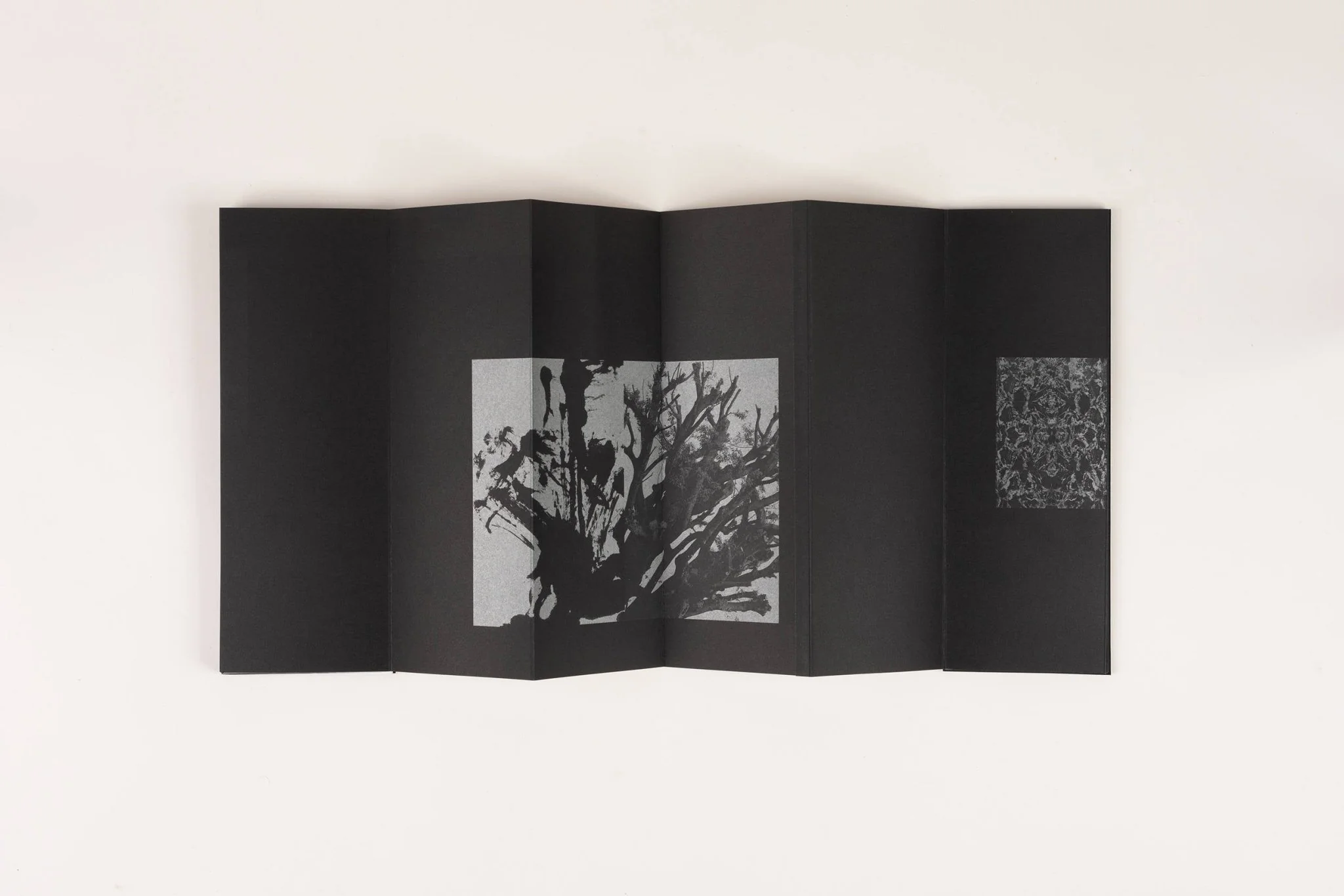 Atlas Of Voids By Kathleen Alisch - Image 8