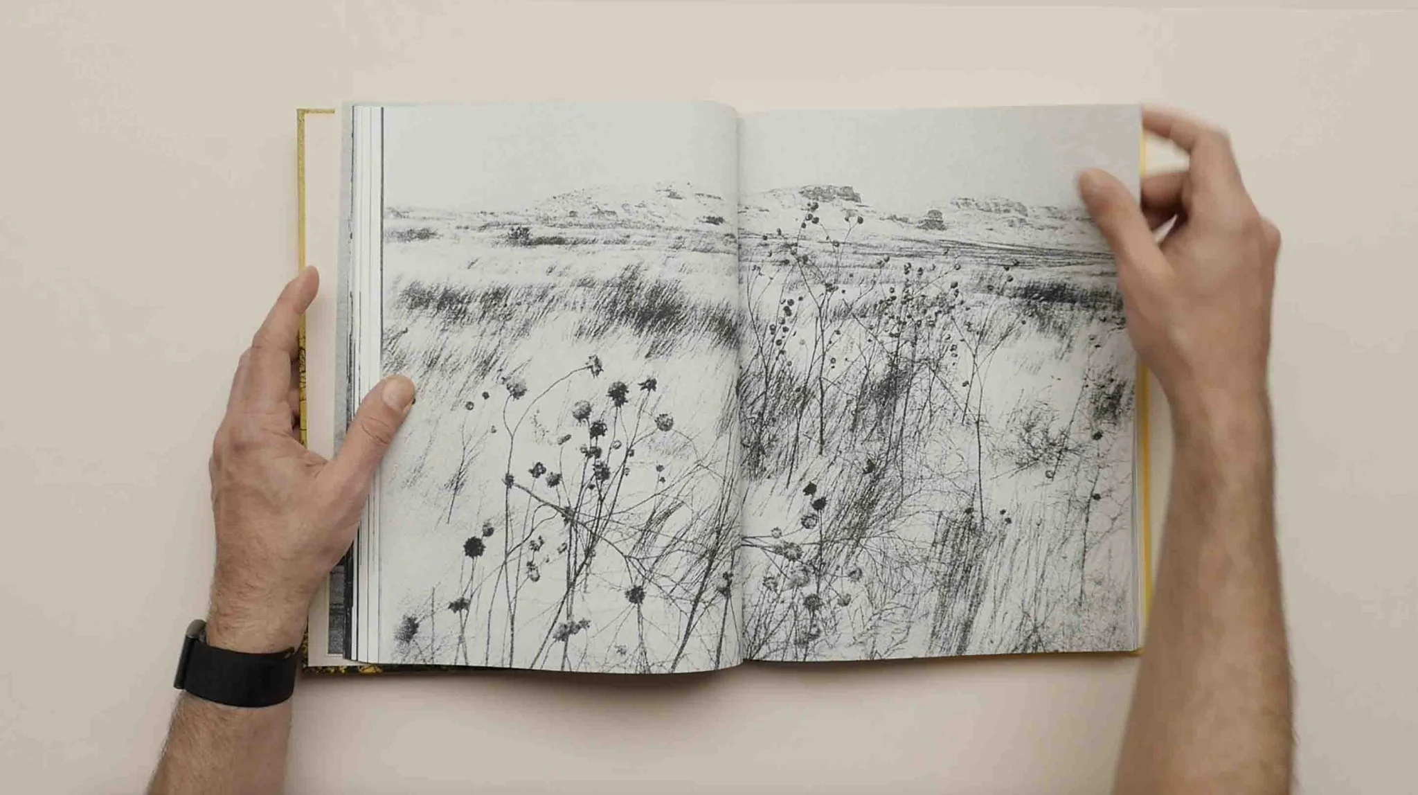 Aux Ombres by Simon Vansteenwinckel - Image 10