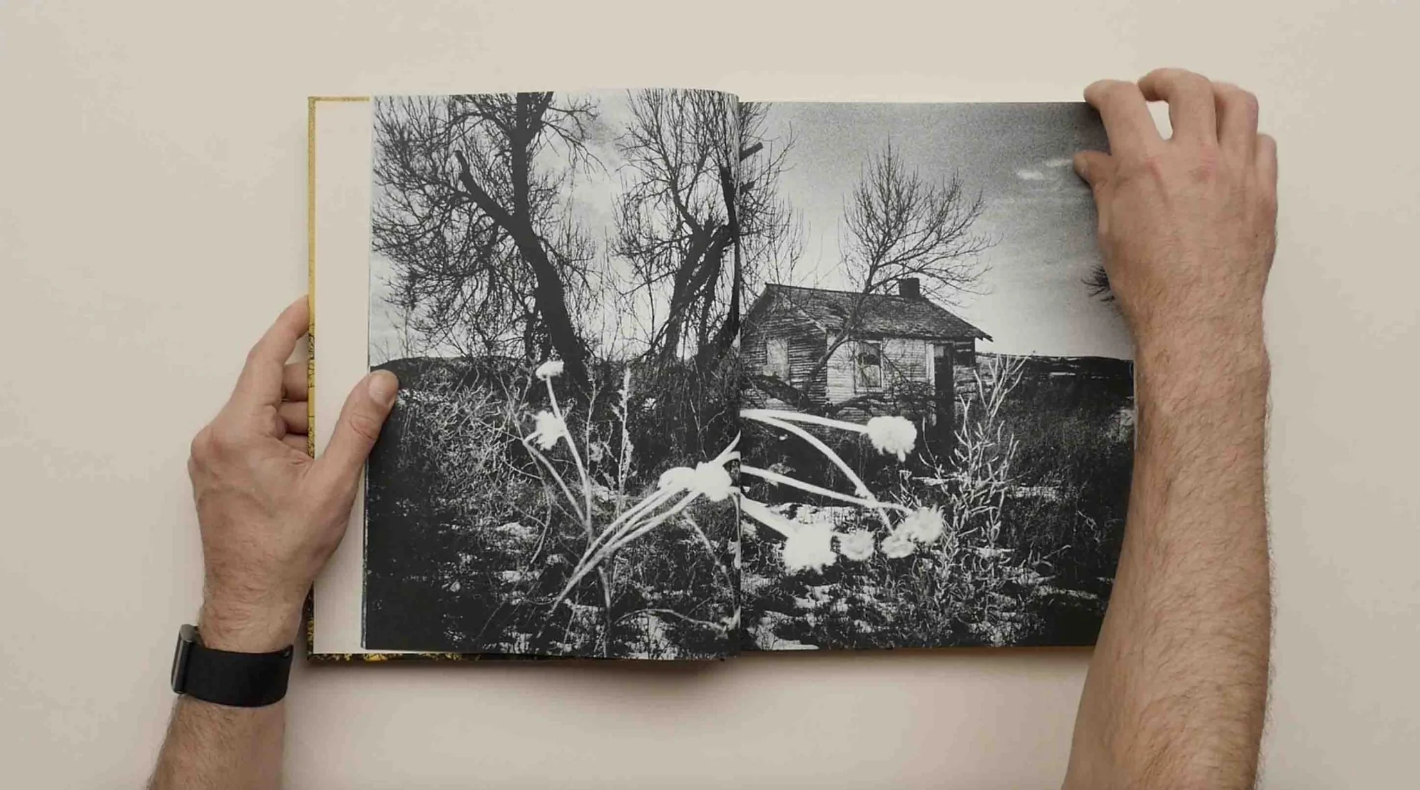 Aux Ombres by Simon Vansteenwinckel - Image 11
