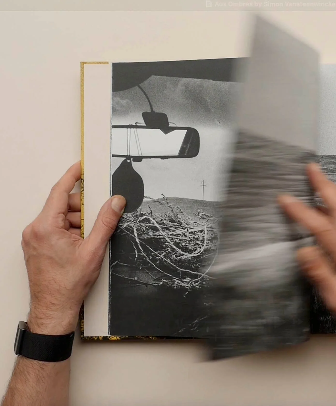 Aux Ombres by Simon Vansteenwinckel - Image 3