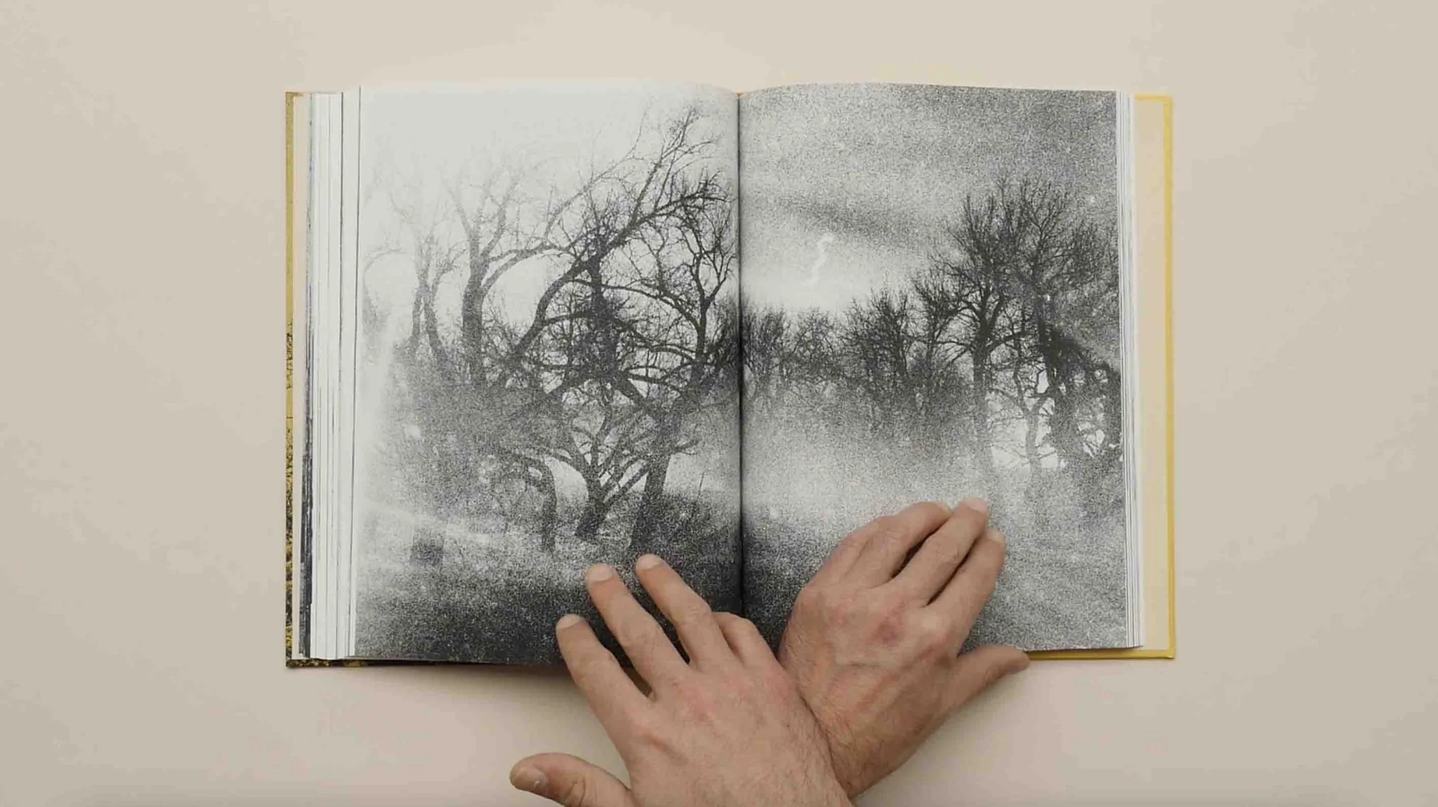 Aux Ombres by Simon Vansteenwinckel - Image 6