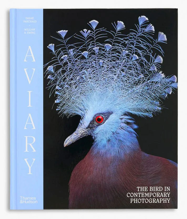 Aviary The Bird in Contemporary Photography by D.Panchaud & W.Ewing