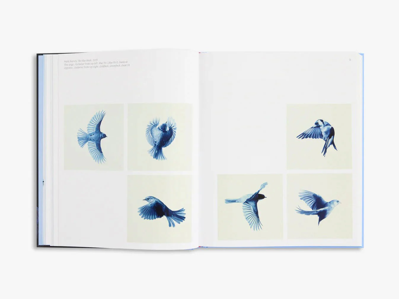 Aviary The Bird in Contemporary Photography by D.Panchaud & W.Ewing - Image 2