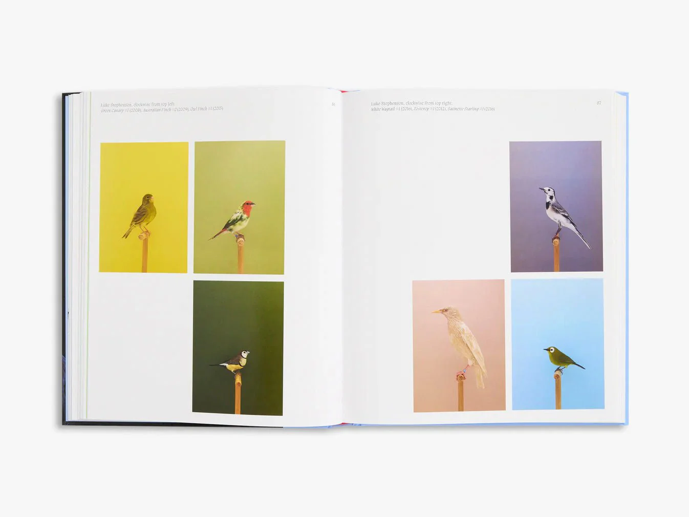 Aviary The Bird in Contemporary Photography by D.Panchaud & W.Ewing - Image 3
