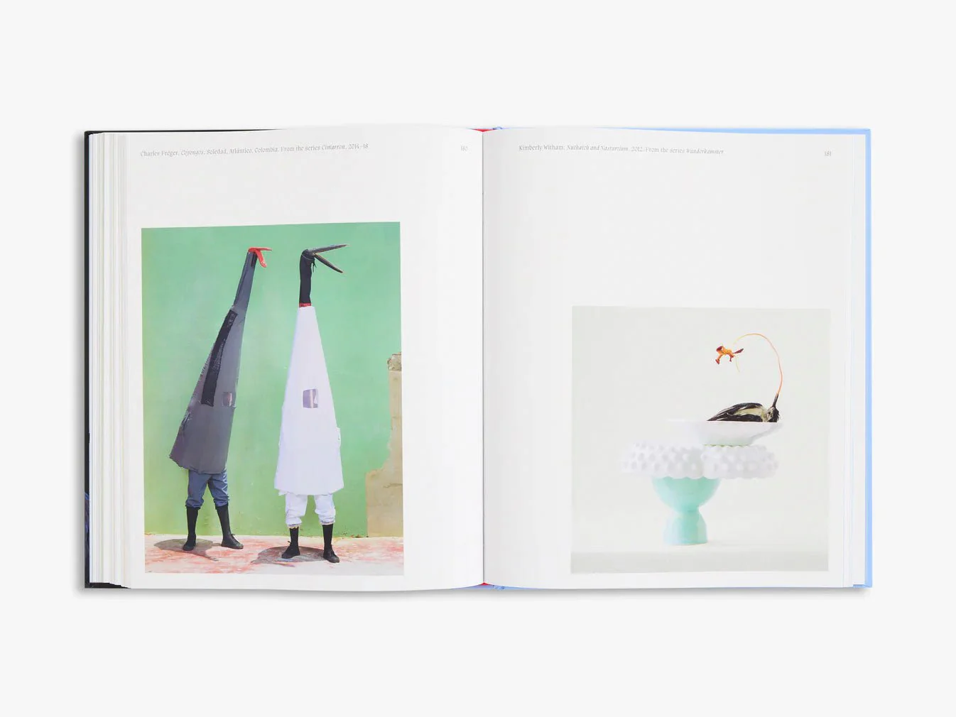 Aviary The Bird in Contemporary Photography by D.Panchaud & W.Ewing - Image 5