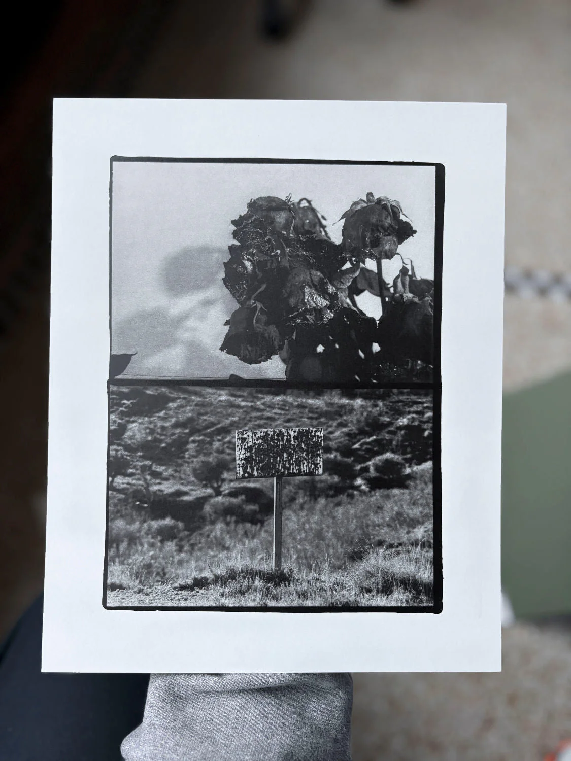 Benrido Collotype - Sakiko Nomura: Träumerei - Image 6