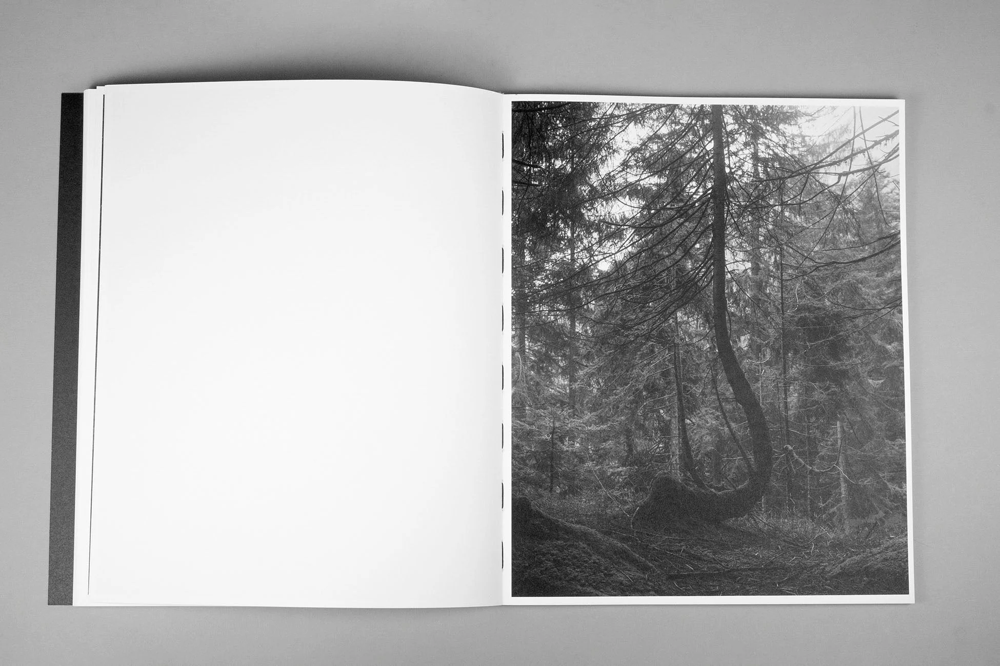 Between the Mountain and the River by Rick van der Klooster - Image 11