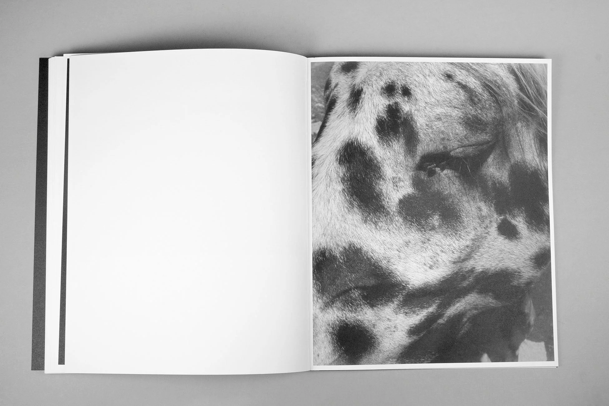 Between the Mountain and the River by Rick van der Klooster - Image 14