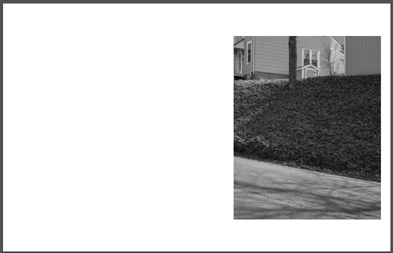 The Bleak House Book set - Image 11