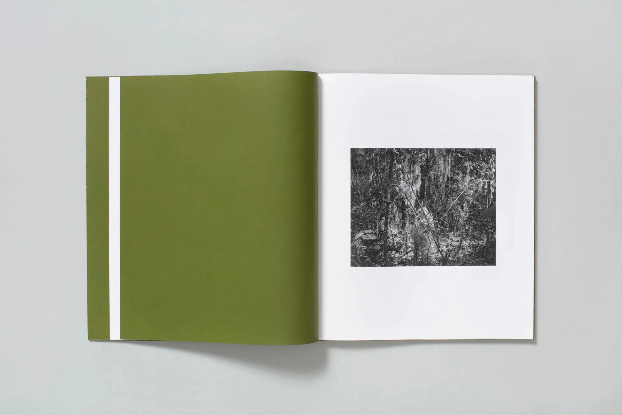 Blood Green by Curran Hatleberg - Image 2