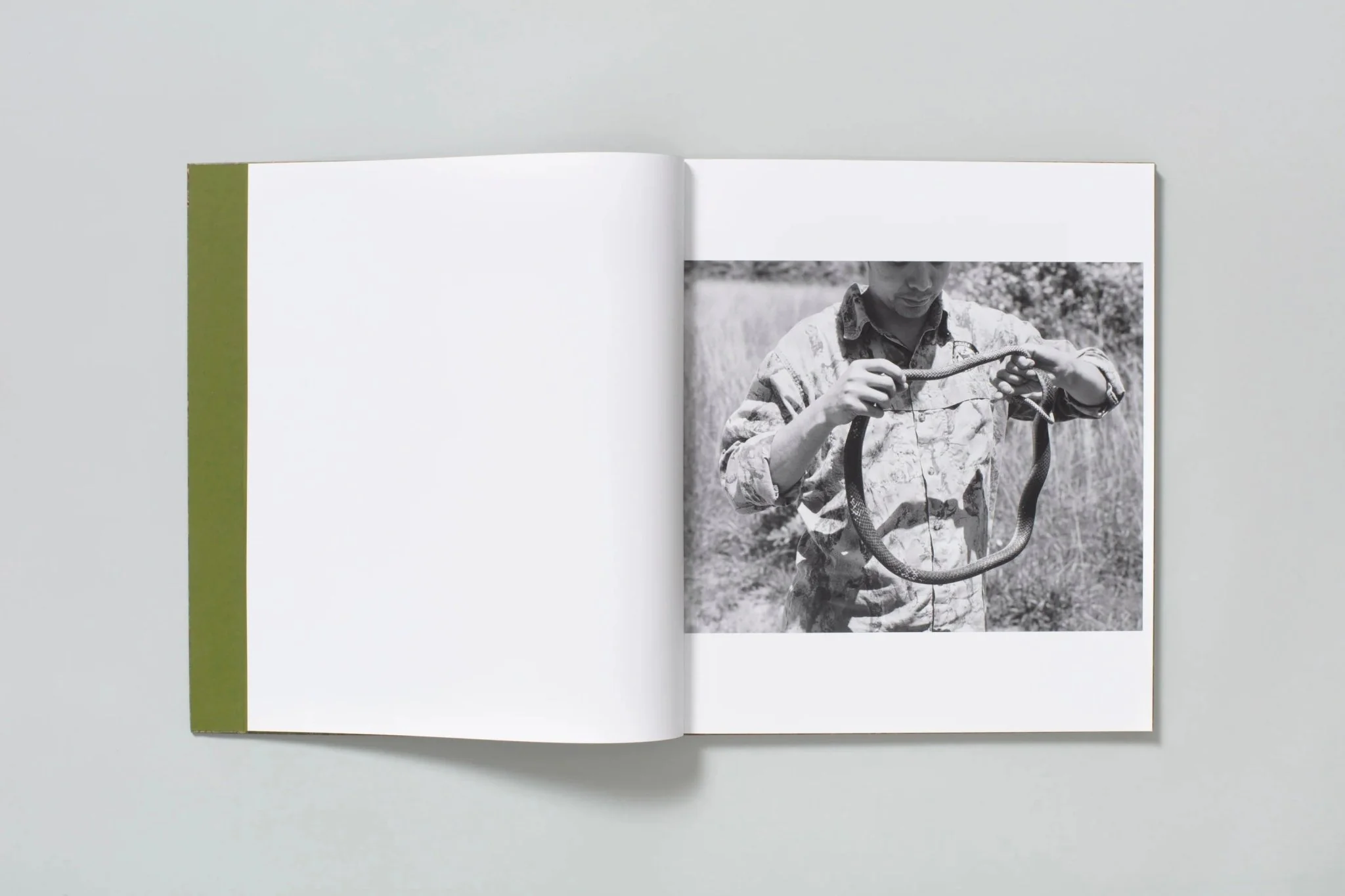 Blood Green by Curran Hatleberg - Image 3