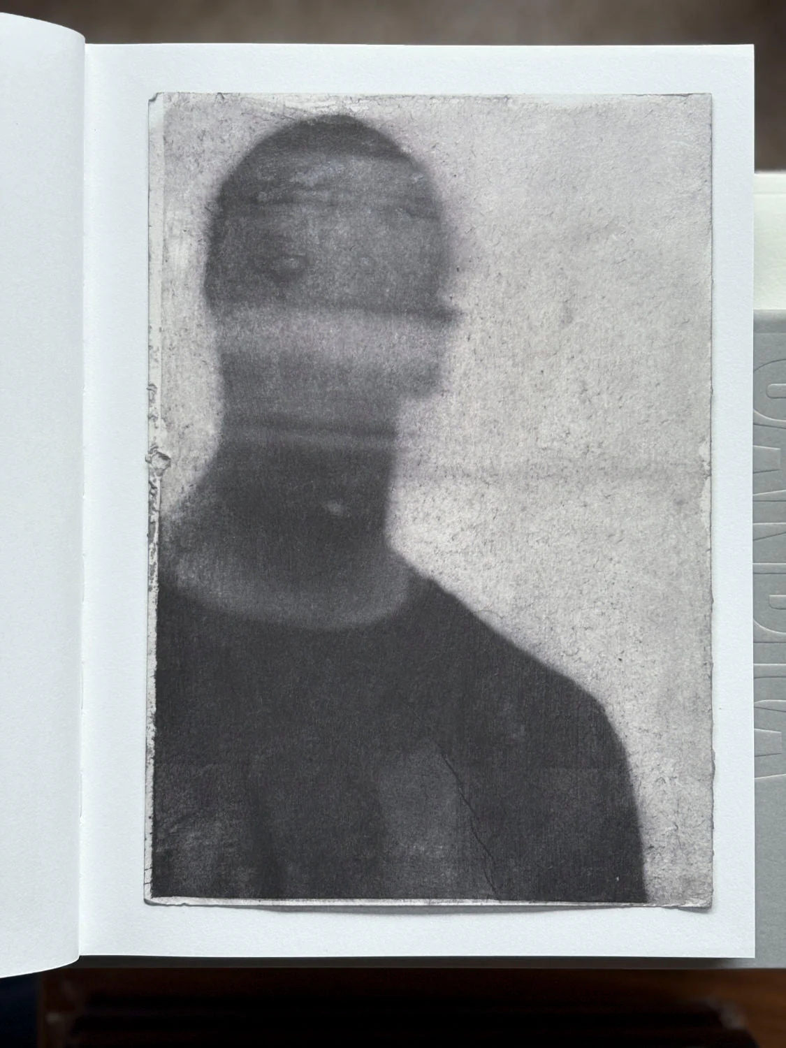 Blur by Sandra Brewster - Image 5