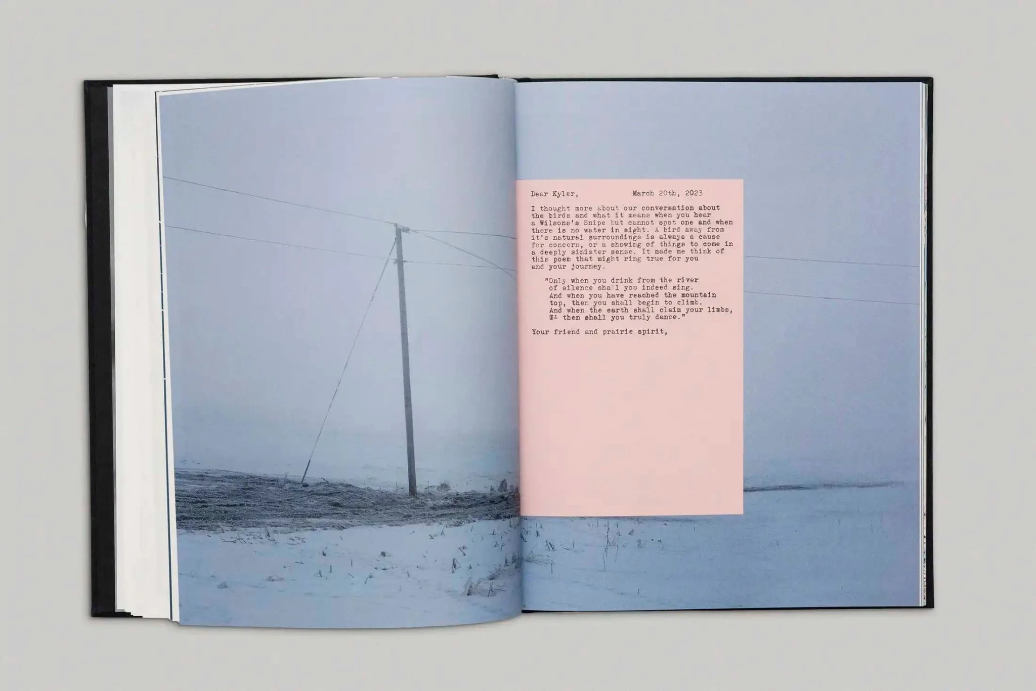 Bury Me in the Back forty by Kyler Zeleny - Image 4