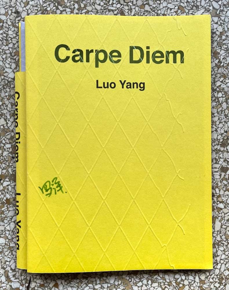 Carpe Diem By Luo Yang