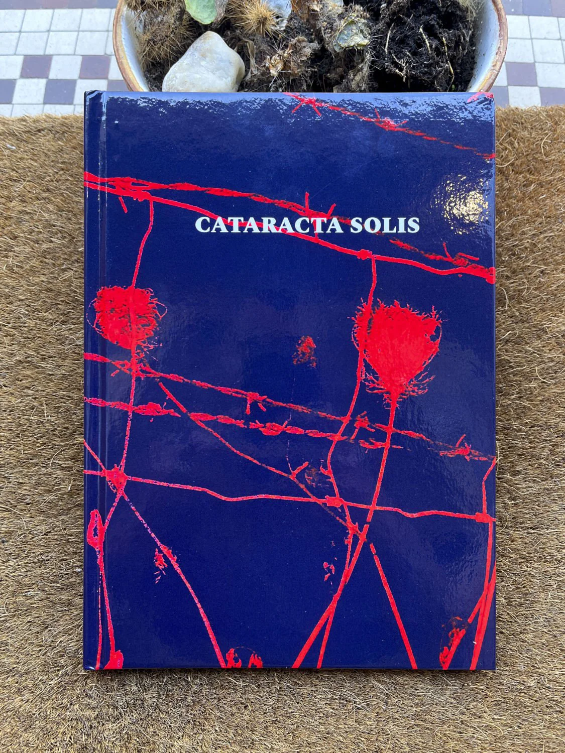 Cataracta Solis by Anna Haillot
