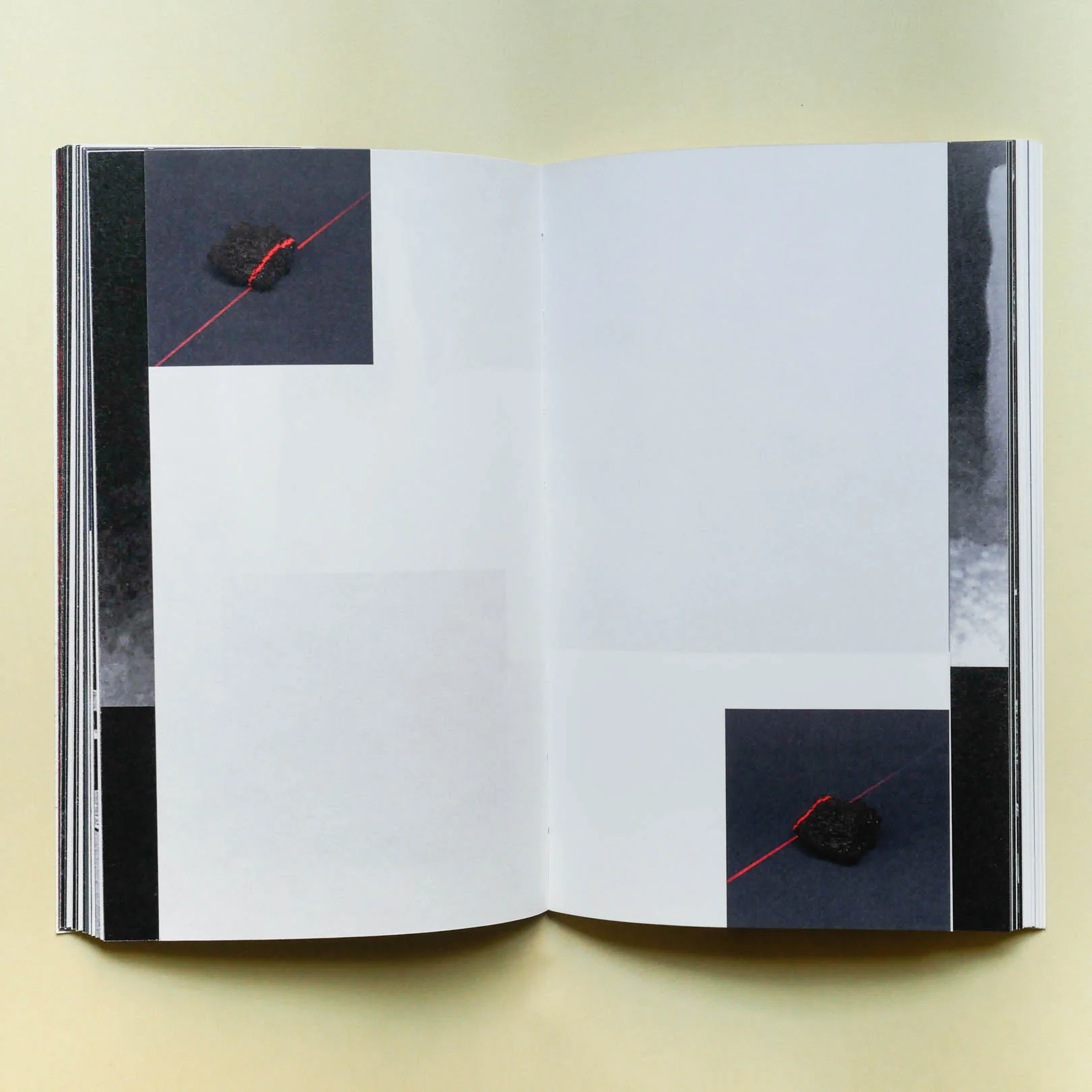 Ciucciuí by Priscilla Pallante - Image 4